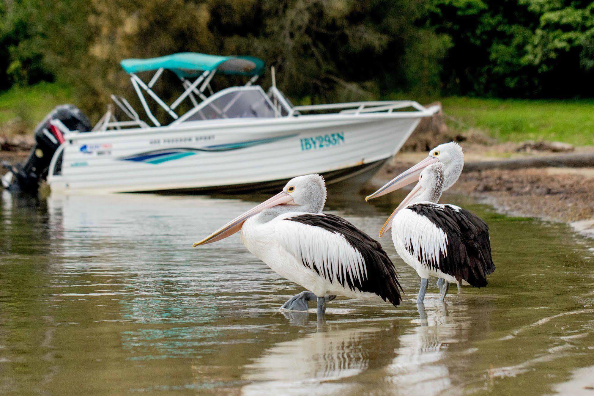 Ingenia Holidays Ocean Lake Bermagui Zewnętrze zdjęcie